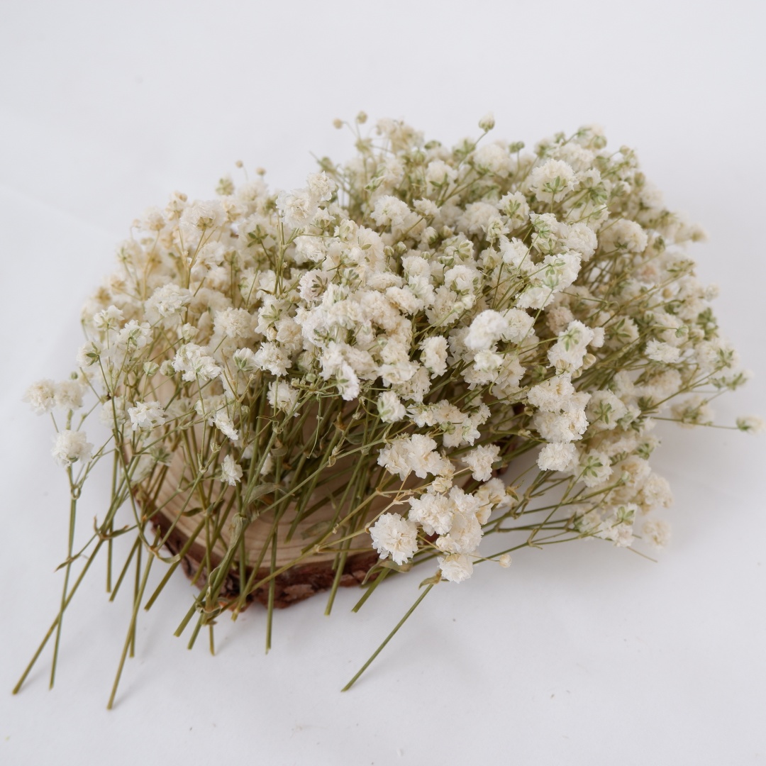 Fleurs séchées blanches, Mini  - Art Craft Vase avis et prix
