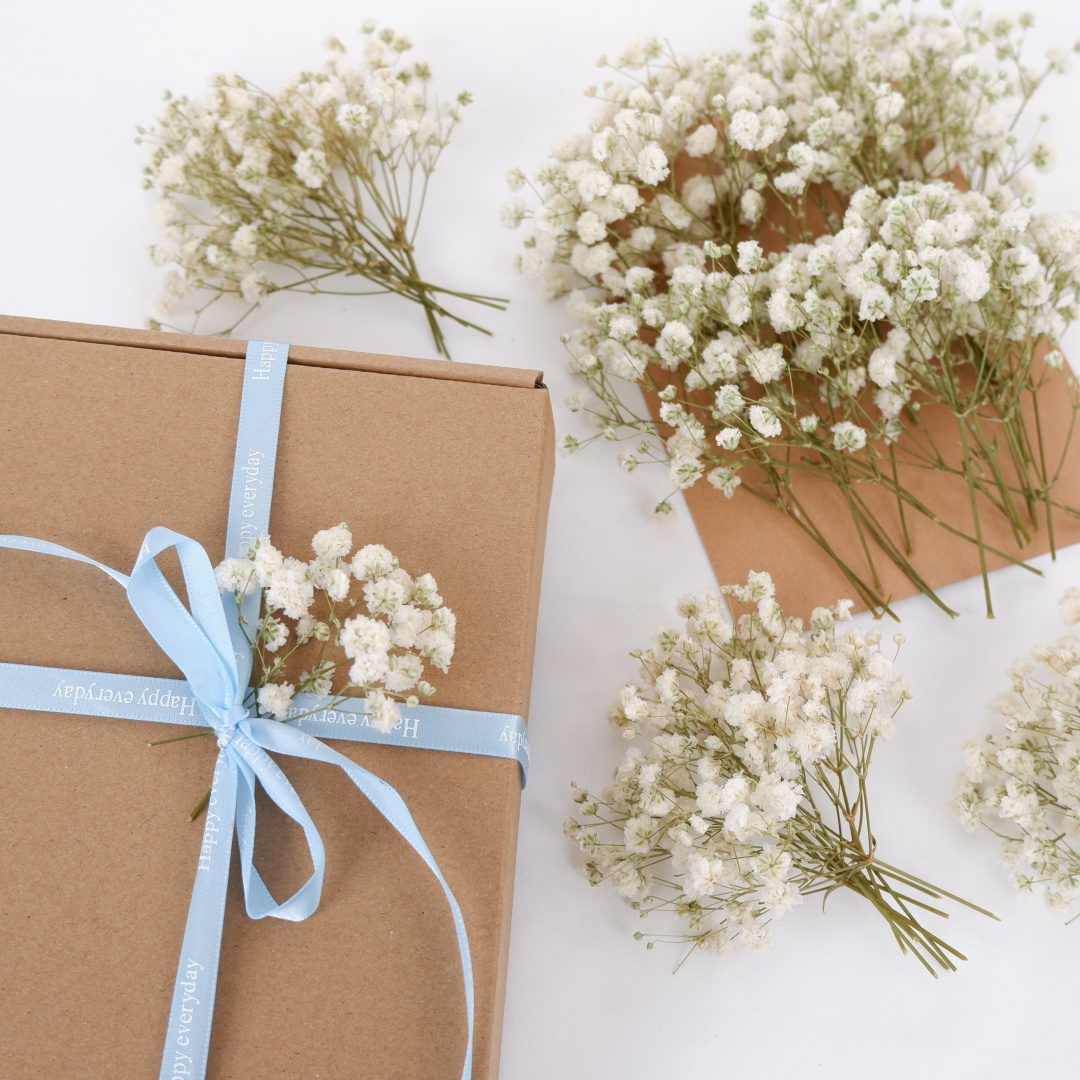 Fleurs séchées blanches, Mini  - Art Craft Vase avis et prix