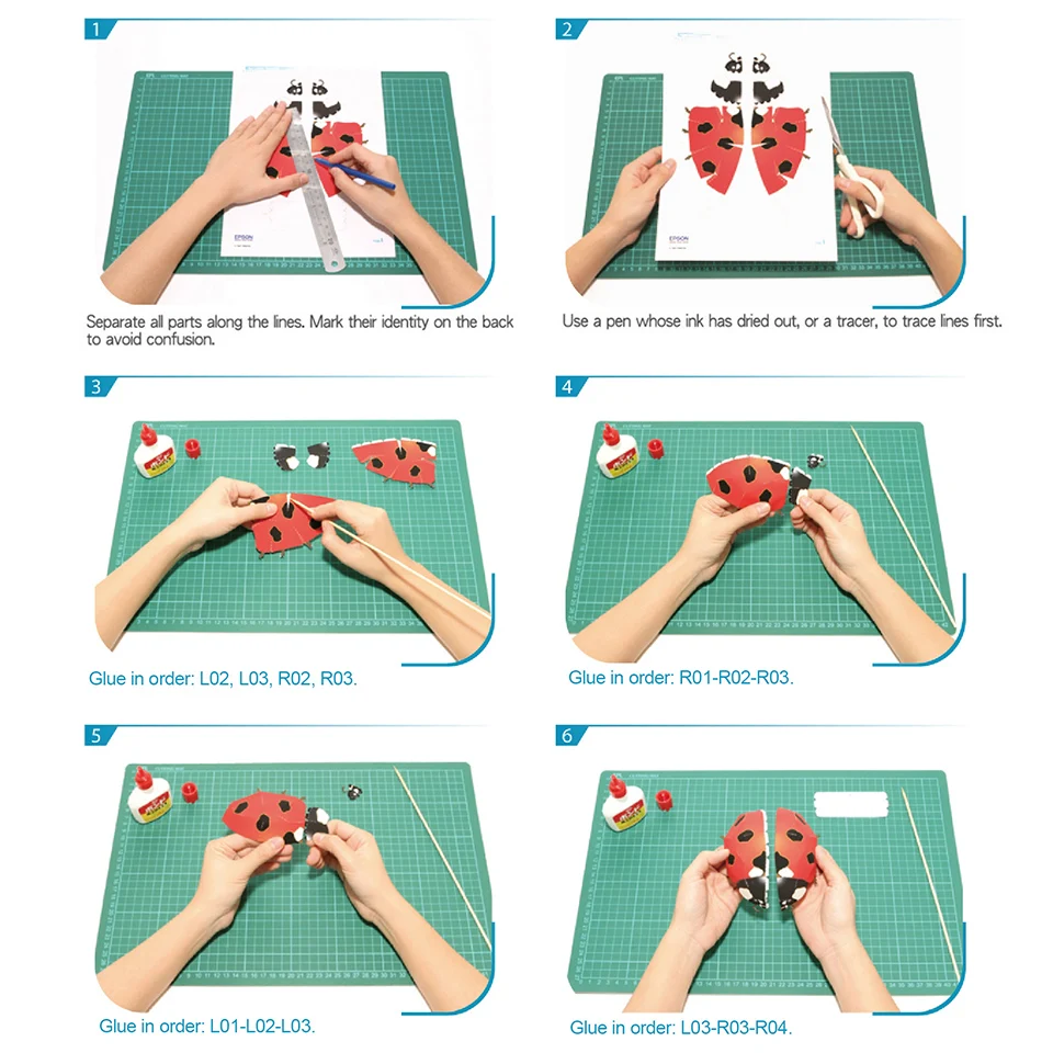 Coccinelle Insecte Origami Art - Art Craft Ladybug avis et prix