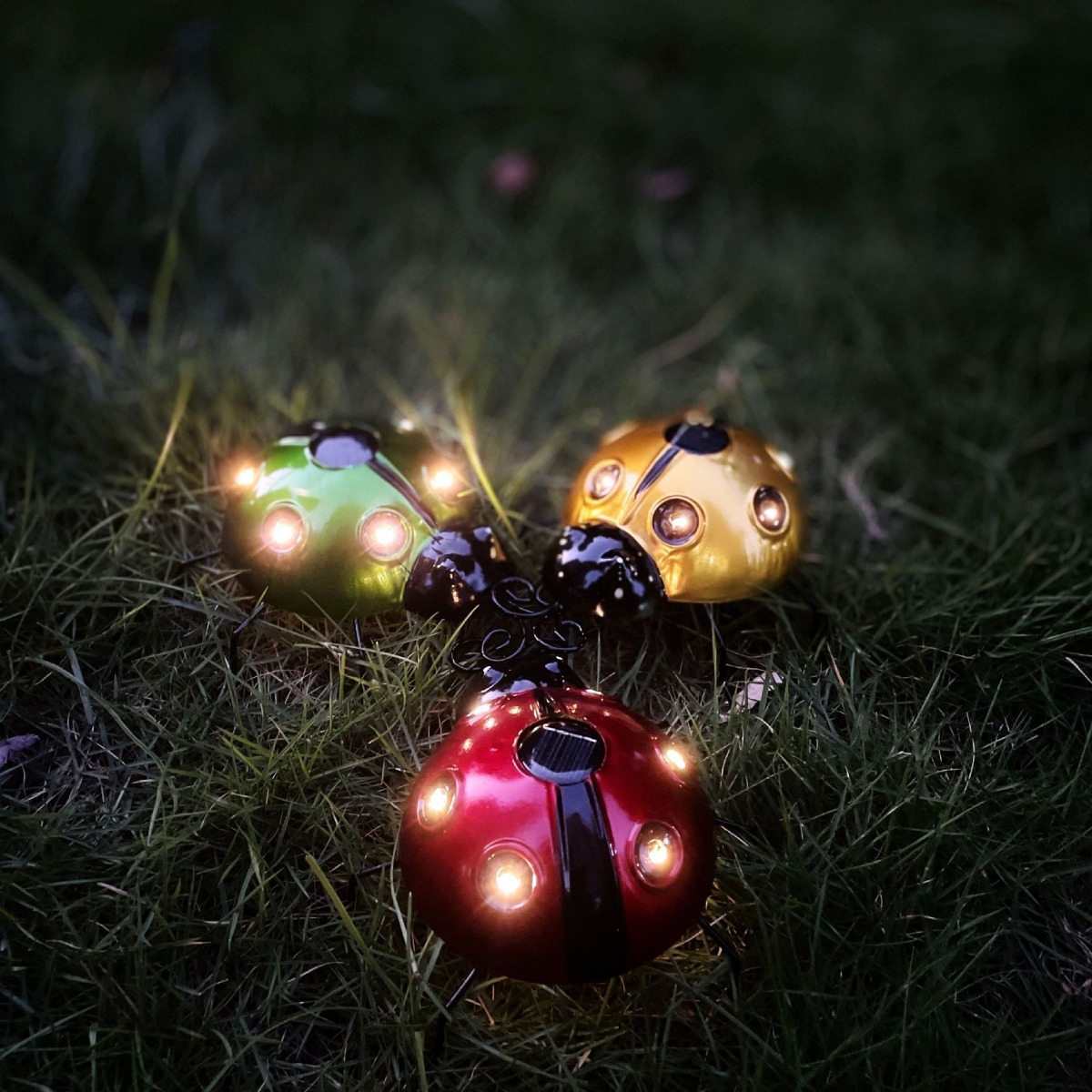 Coccinelle d'art en fer solair - Art Craft Ladybug avis et prix