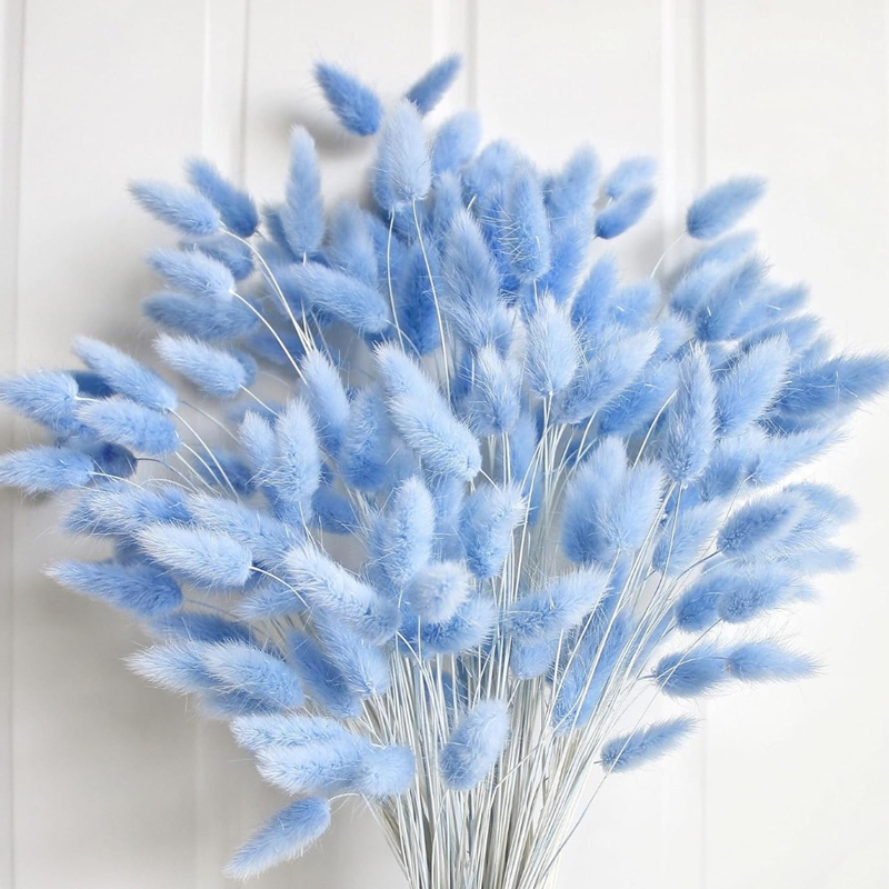 100 pièces bleu lièvre-queue h - Art Craft Vase avis et prix